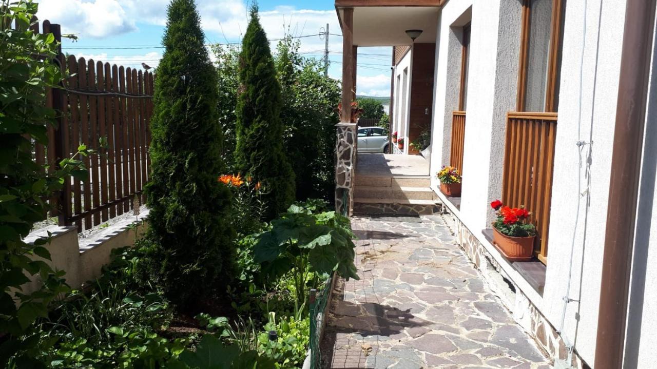 Отель Casa Paduricea Dezmir Экстерьер фото