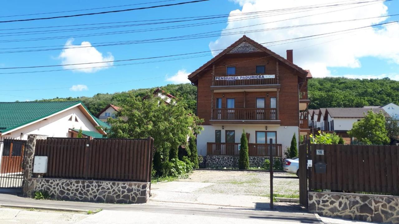 Отель Casa Paduricea Dezmir Экстерьер фото